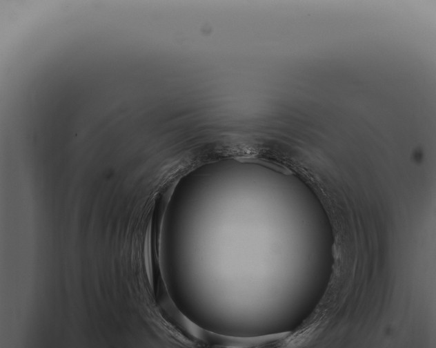X0000097990096200804011819