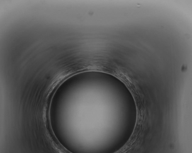X0000097990098200804011818