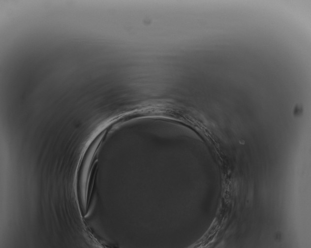 X0000097990100200804011818