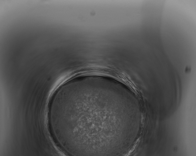 X0000097990101200804011818