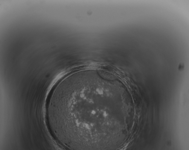 X0000097990102200804011818