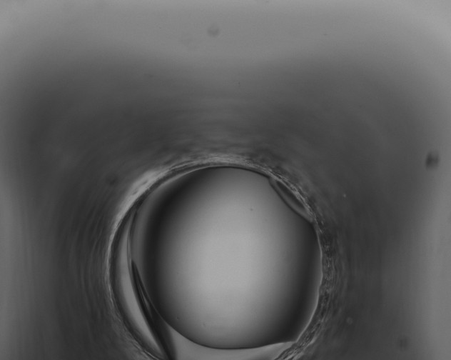 X0000097990104200804011818
