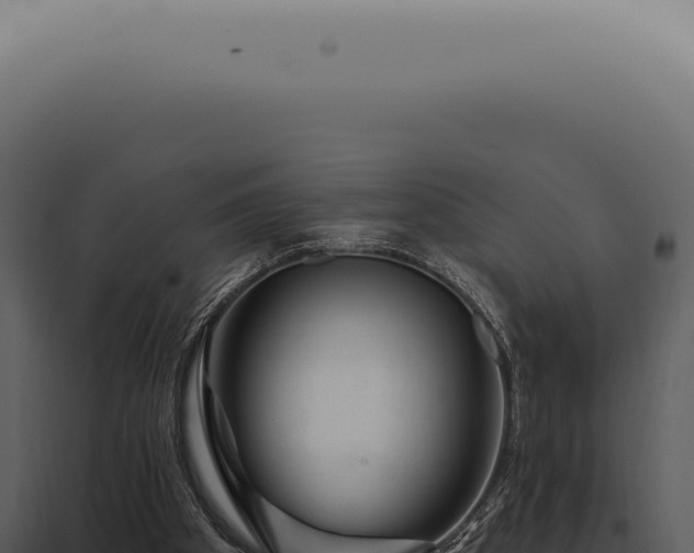 X0000097990105200804011818