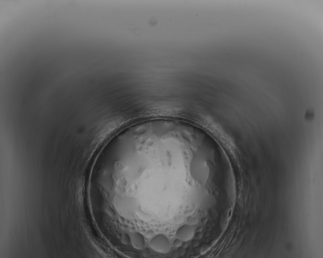 X0000097990107200804011818