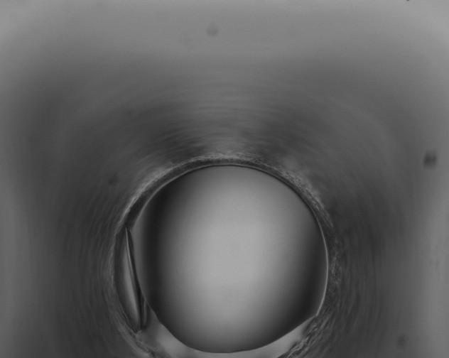 X0000097990108200804011818