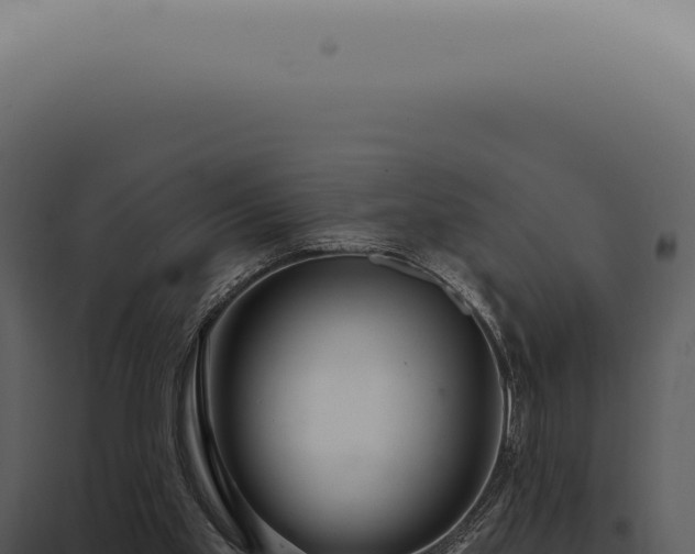 X0000097990109200804011818