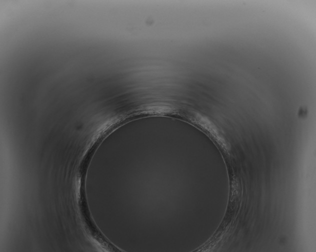 X0000097990110200804011818