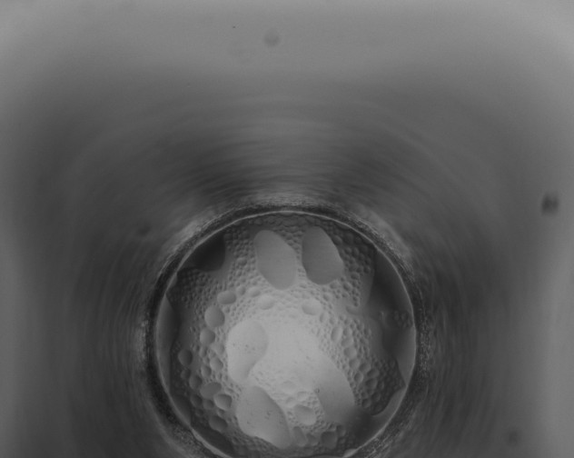 X0000097990111200804011818