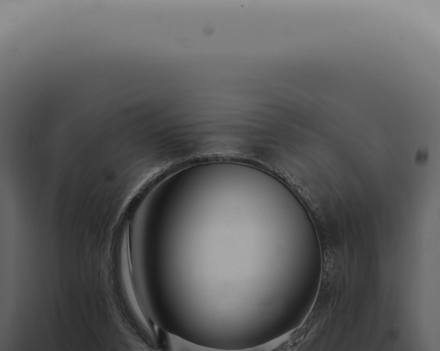X0000097990112200804011818