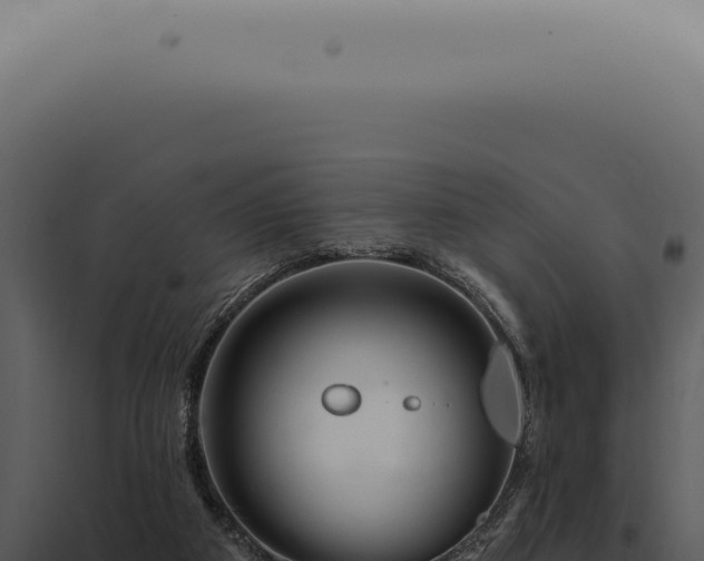 X0000097990113200804011818