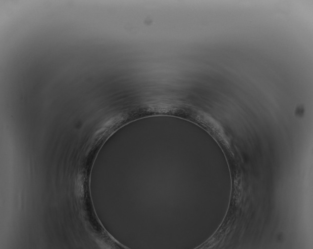 X0000097990114200804011818