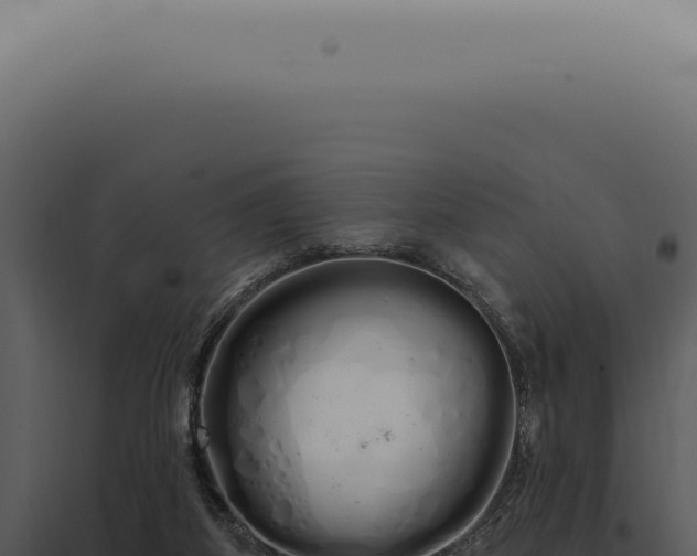 X0000097990115200804011818