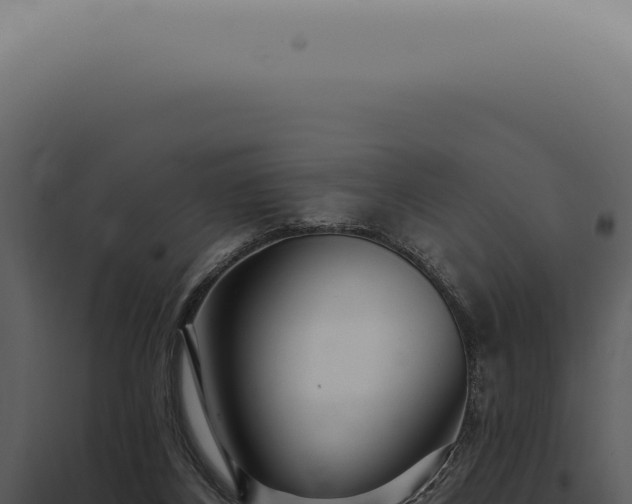 X0000097990116200804011818