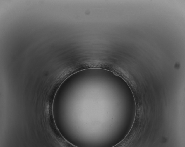 X0000097990117200804011818