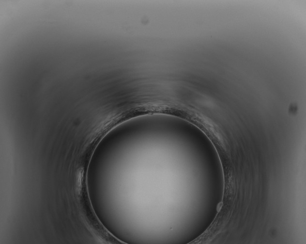 X0000097990118200804011818
