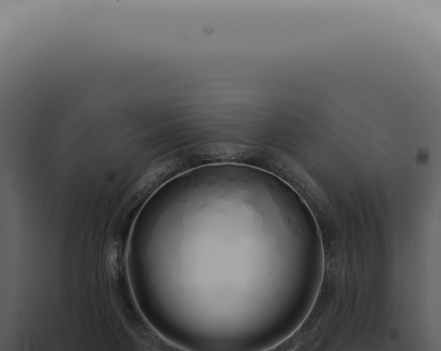 X0000097990119200804011818
