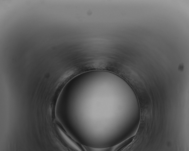 X0000097990120200804011818