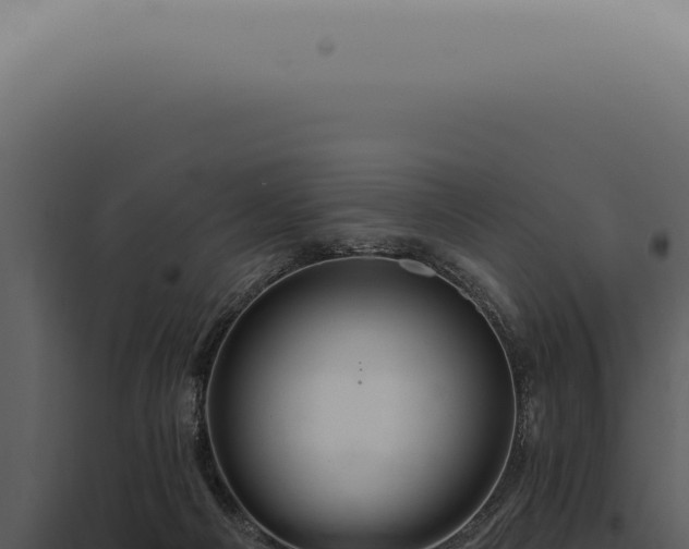 X0000097990121200804011818