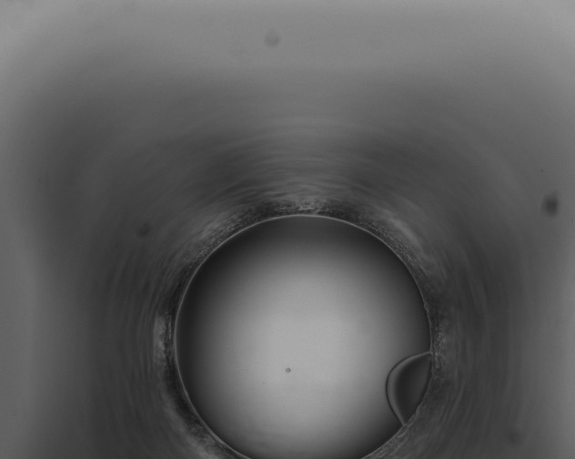 X0000097990122200804011818