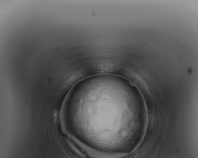 X0000097990123200804011818