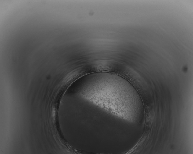 X0000097990124200804011818