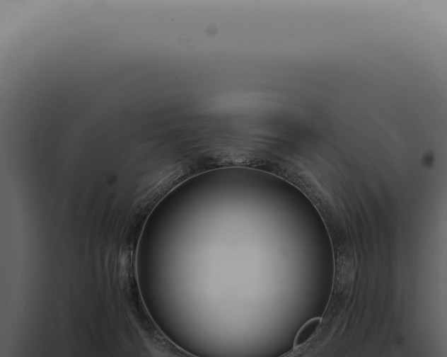 X0000097990126200804011818