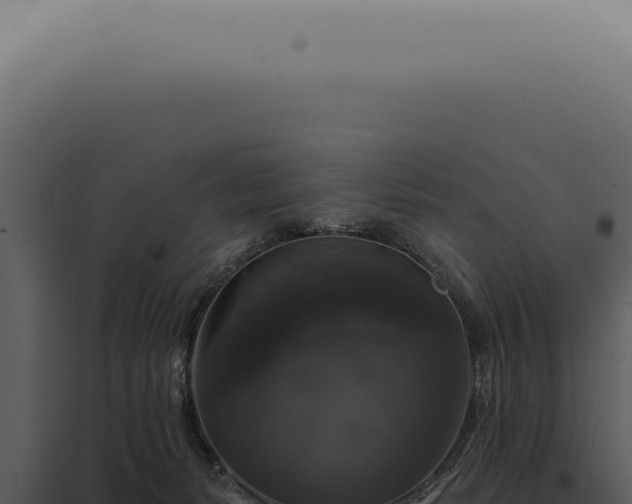 X0000097990127200804011818