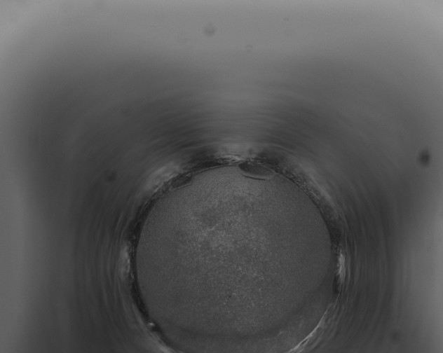 X0000097990128200804011818