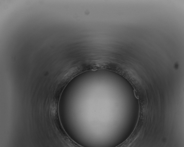X0000097990129200804011818