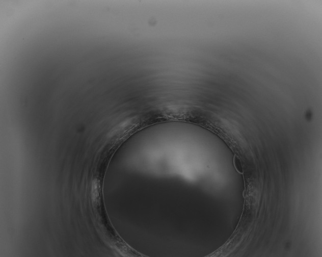 X0000097990130200804011818