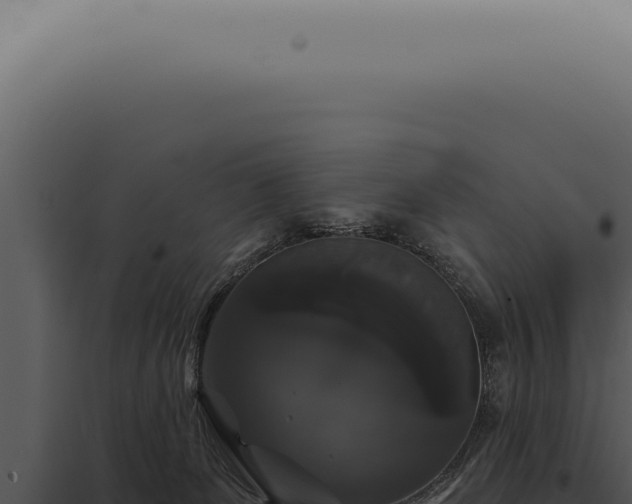 X0000097990131200804011818