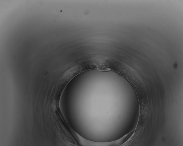 X0000097990132200804011818