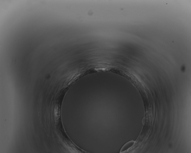 X0000097990134200804011818
