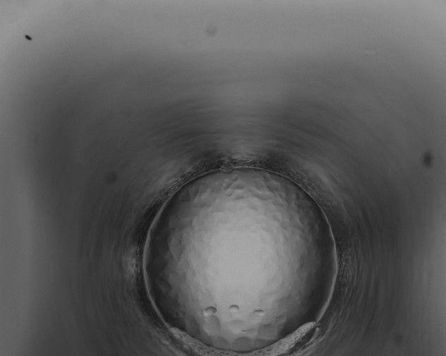 X0000097990135200804011818