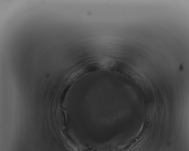 X0000097990137200804011817