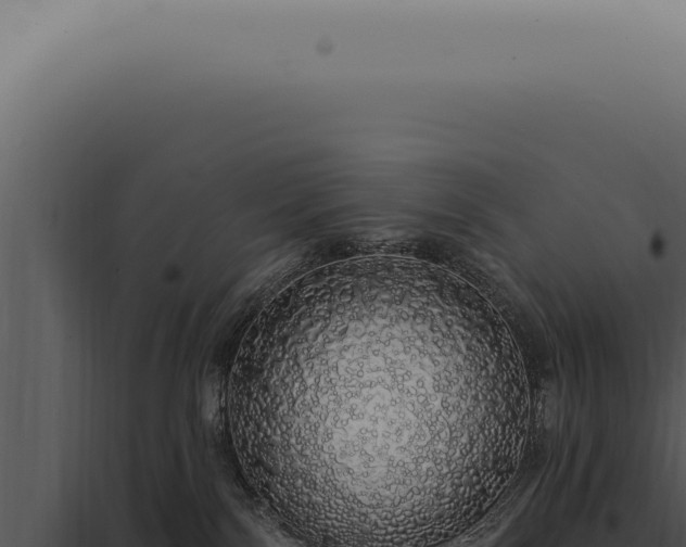 X0000097990138200804011817