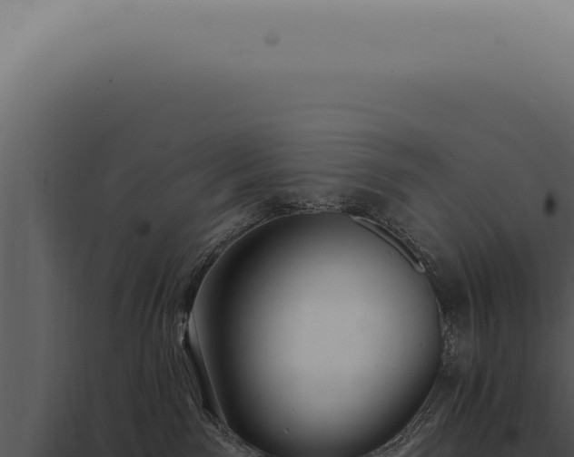 X0000097990141200804011817