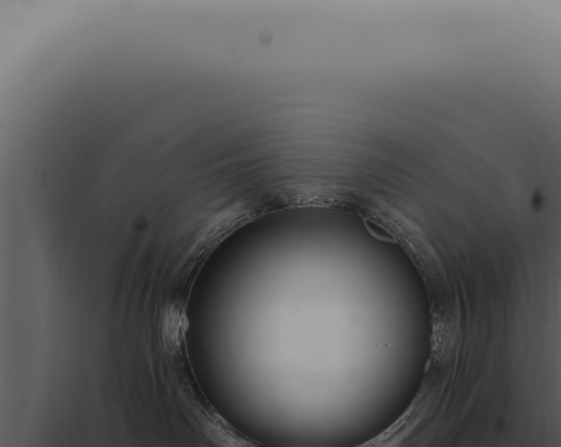 X0000097990142200804011817