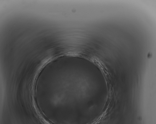 X0000097990145200804011817