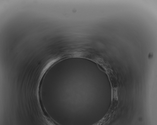 X0000097990147200804011817