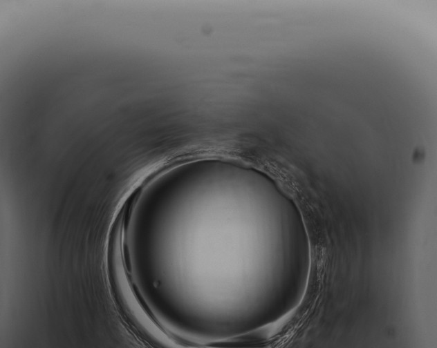 X0000097990148200804011817