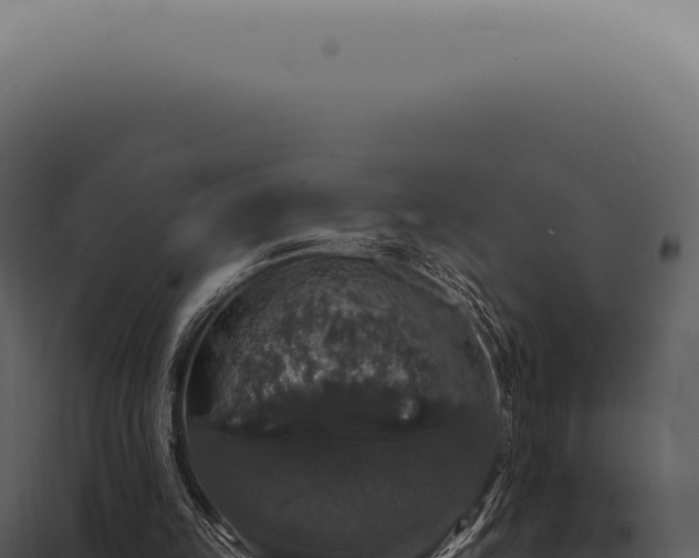 X0000097990149200804011817