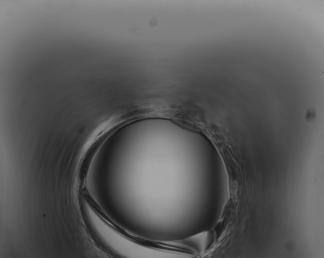 X0000097990150200804011817