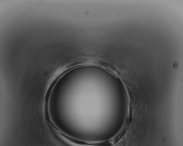 X0000097990152200804011817