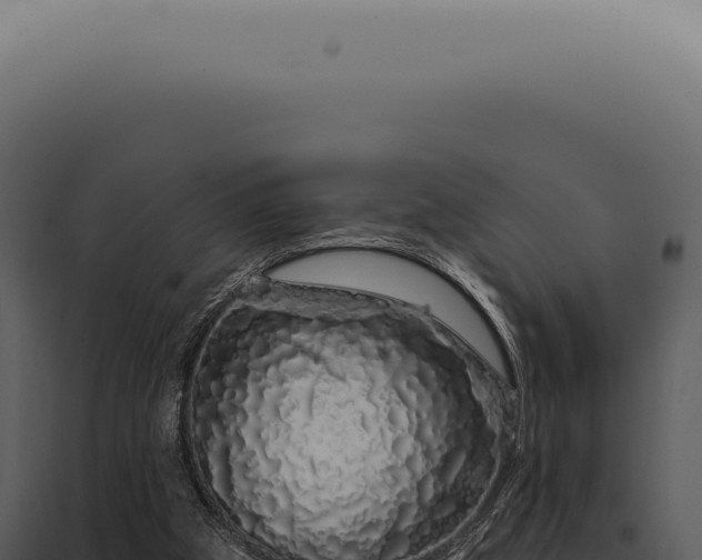 X0000097990153200804011817