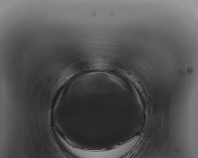 X0000097990154200804011817