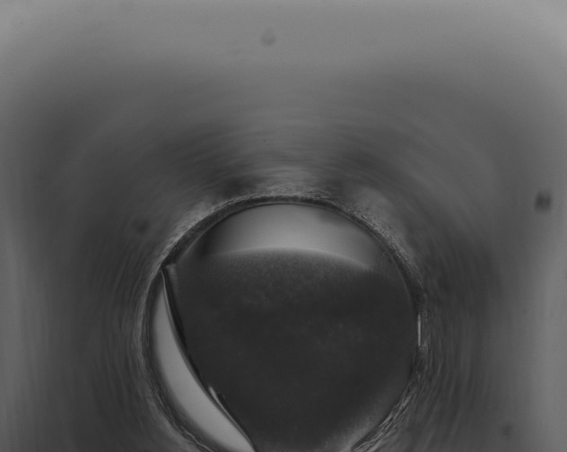 X0000097990156200804011817