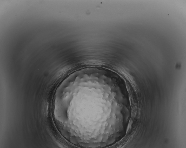 X0000097990157200804011817