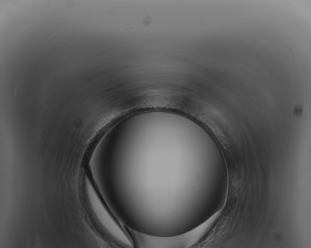 X0000097990160200804011817