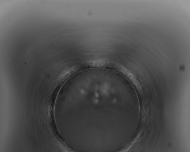 X0000097990161200804011817